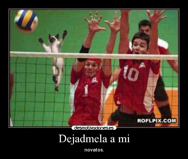 Dejadmela a mi - novatos.