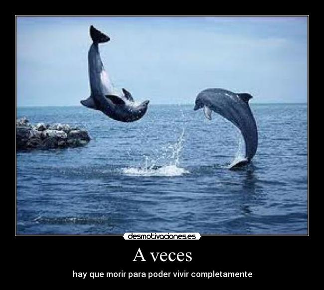A veces - hay que morir para poder vivir completamente