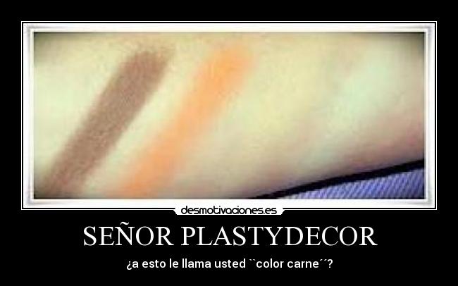 SEÑOR PLASTYDECOR - ¿a esto le llama usted ``color carne´´?