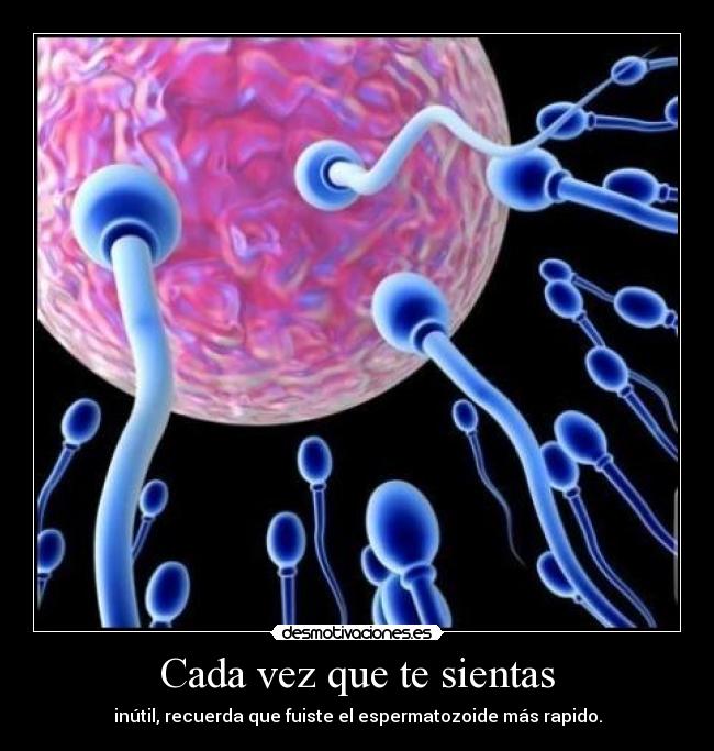 Cada vez que te sientas - inútil, recuerda que fuiste el espermatozoide más rapido.