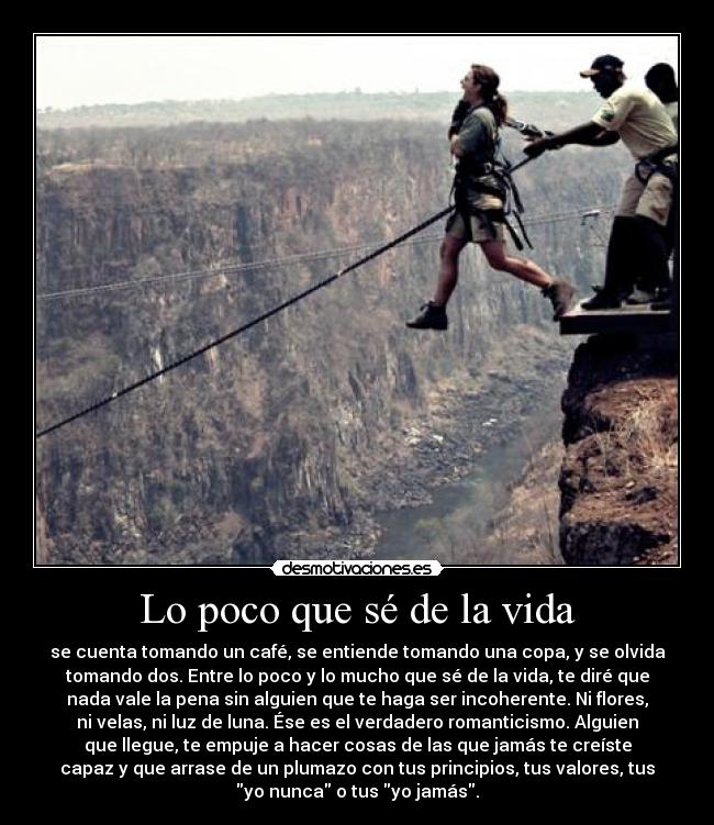 Lo poco que sé de la vida - 