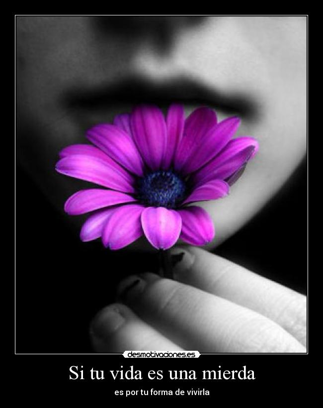 Si tu vida es una mierda -