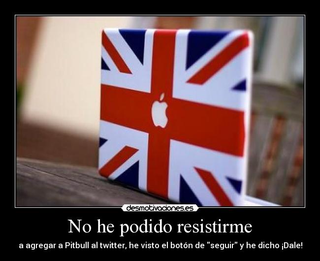 No he podido resistirme - a agregar a Pitbull al twitter, he visto el botón de seguir y he dicho ¡Dale!