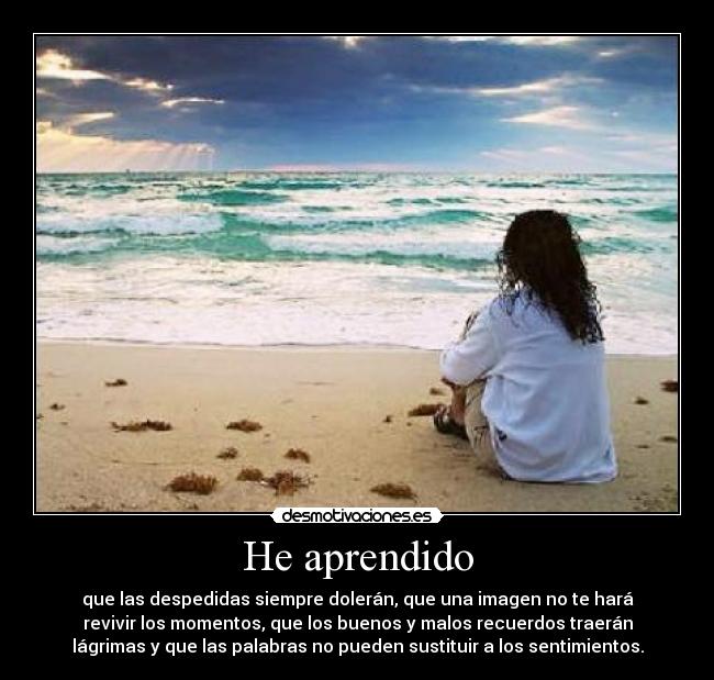 He aprendido - que las despedidas siempre dolerán, que una imagen no te hará
revivir los momentos, que los buenos y malos recuerdos traerán
lágrimas y que las palabras no pueden sustituir a los sentimientos.