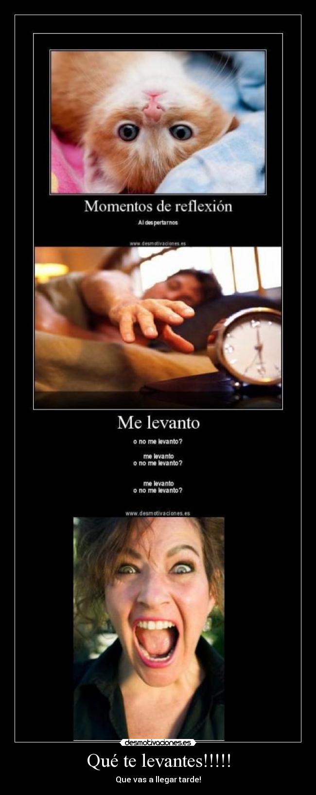 Qué te levantes!!!!! - Que vas a llegar tarde!
