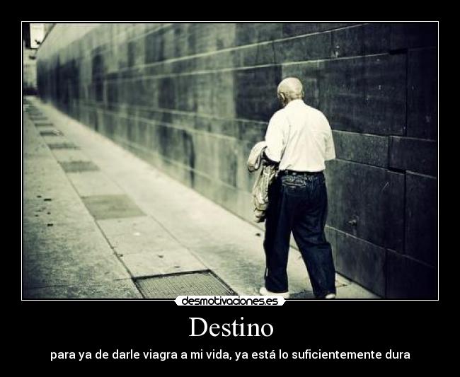 Destino - para ya de darle viagra a mi vida, ya está lo suficientemente dura