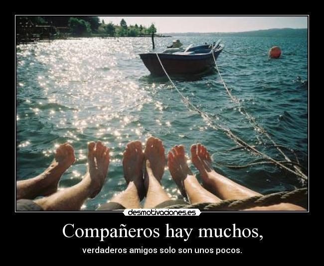 Compañeros hay muchos, - 