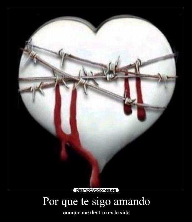 Por que te sigo amando - aunque me destrozes la vida