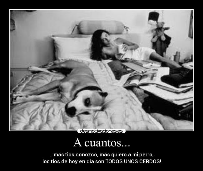 A cuantos... - ...más tios conozco, más quiero a mi perro,
los tios de hoy en día son TODOS UNOS CERDOS!
