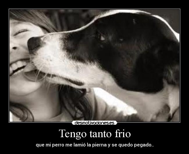 Tengo tanto frio - que mi perro me lamió la pierna y se quedo pegado..