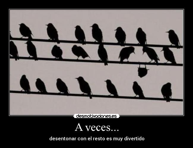 A veces... - desentonar con el resto es muy divertido