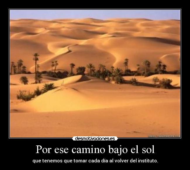 Por ese camino bajo el sol - que tenemos que tomar cada día al volver del instituto.