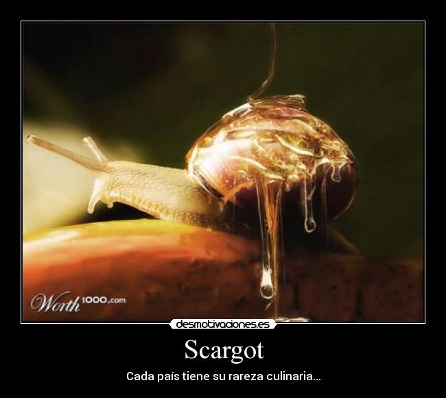 Scargot - Cada país tiene su rareza culinaria...