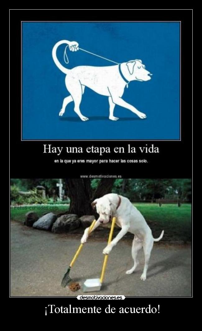 ¡Totalmente de acuerdo! - 