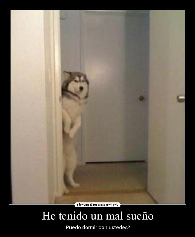He tenido un mal sueño - 