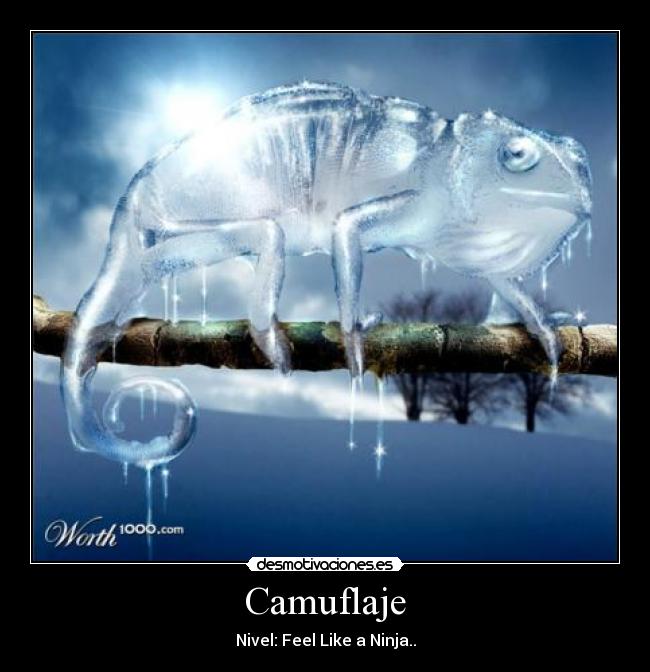 Camuflaje - Nivel: Feel Like a Ninja..