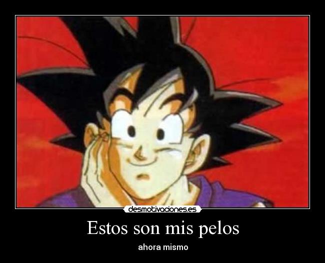 Estos son mis pelos - 