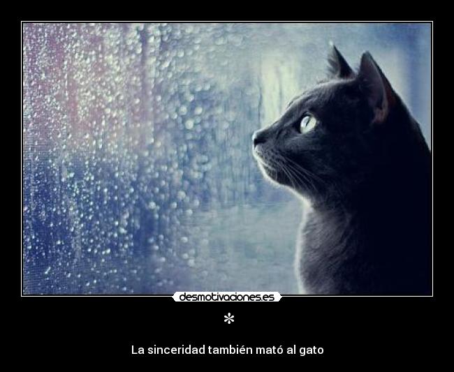 * - La sinceridad también mató al gato