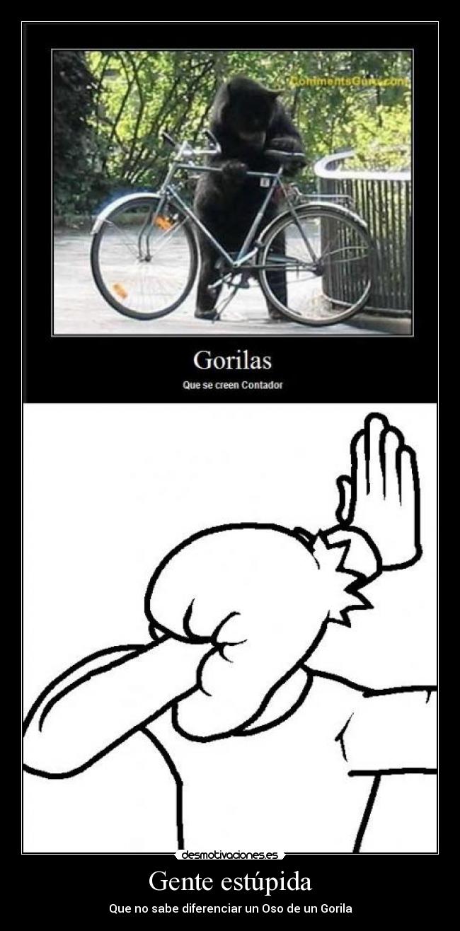 carteles gente estupida oso gorila epic facepalm calarat desmotivaciones