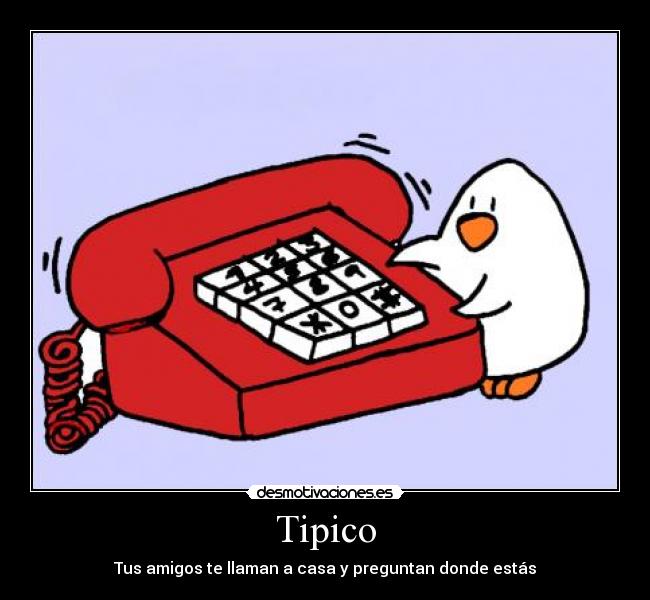 Tipico -