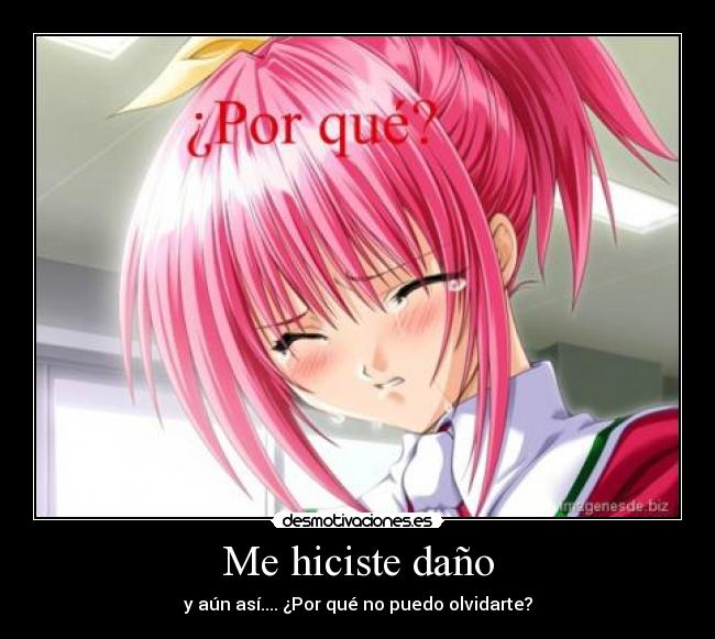 Me hiciste daño - 