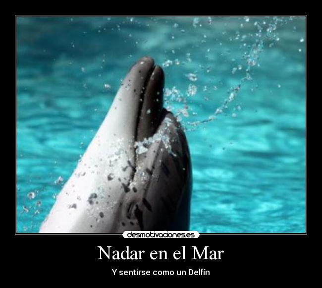 Nadar en el Mar - 
