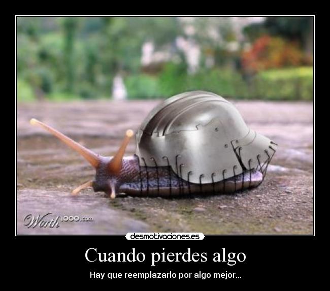 Cuando pierdes algo - Hay que reemplazarlo por algo mejor...