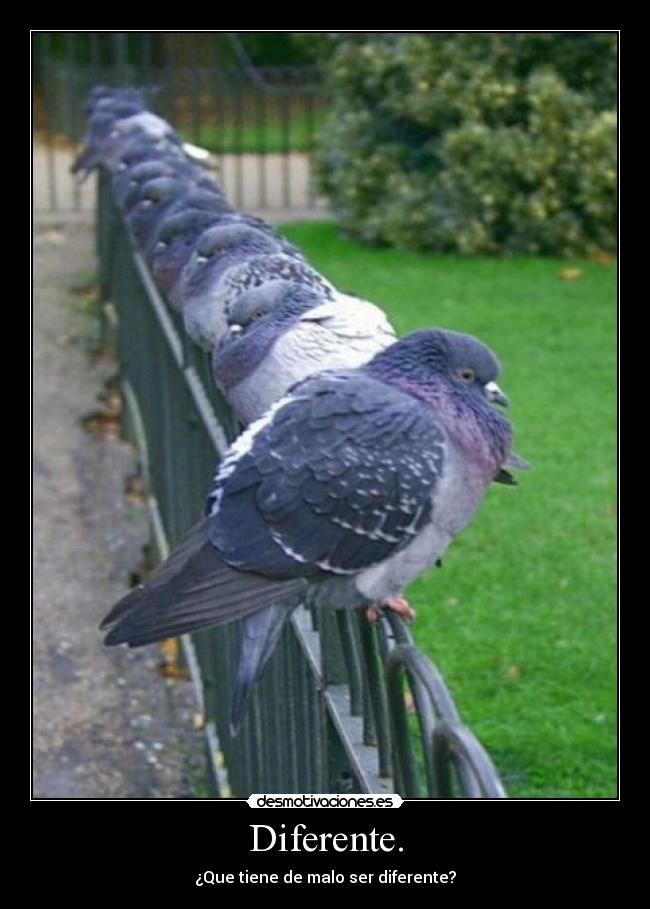 Diferente. -