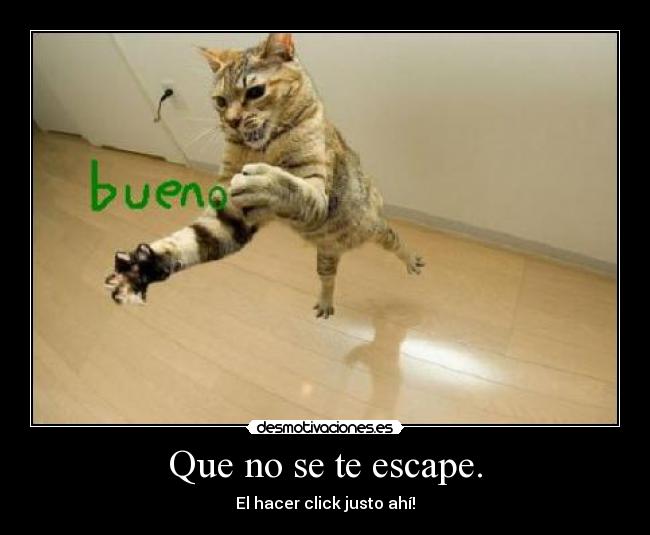 Que no se te escape. -