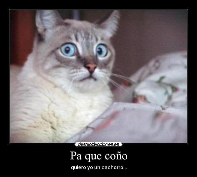 Pa que coño -