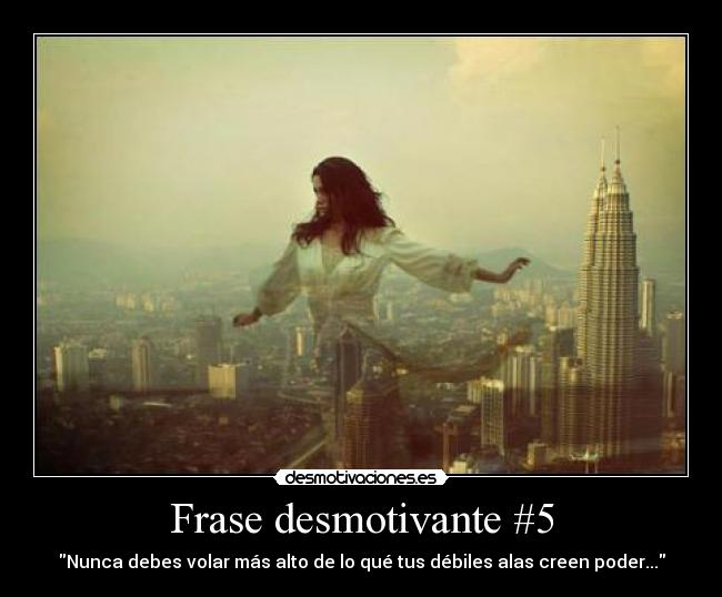 Frase desmotivante #5 - Nunca debes volar más alto de lo qué tus débiles alas creen poder...