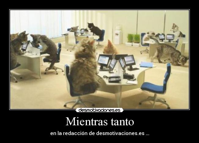 Mientras tanto - en la redacción de desmotivaciones.es ...