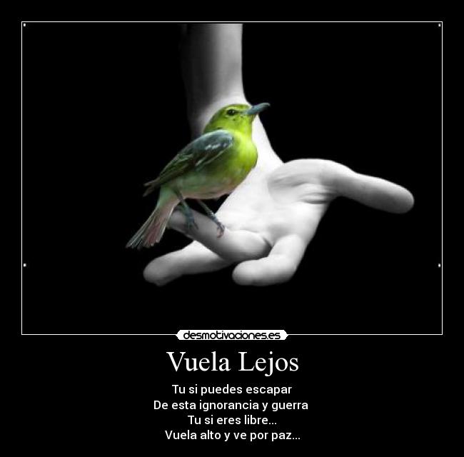 carteles paz desmotivaciones