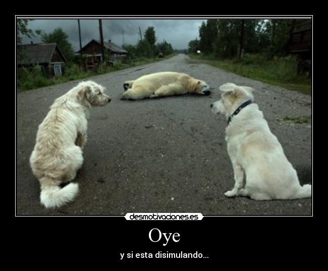 Oye - 
