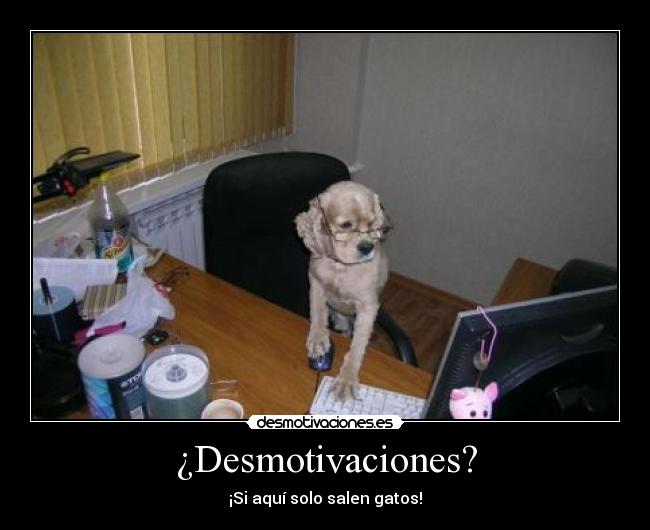 carteles desmotivaciones eften aburre subes carteles perros son raza superior tiembla walt desmotivaciones
