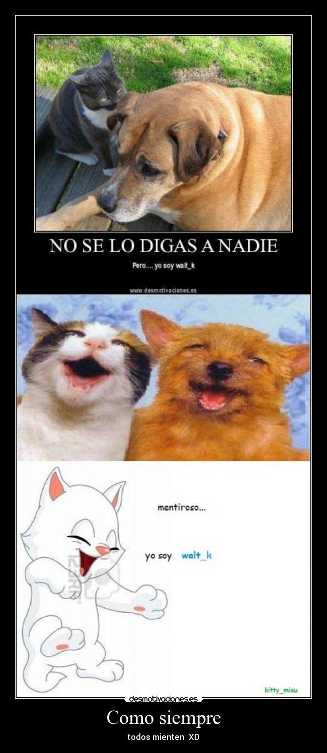 Como siempre - todos mienten  XD