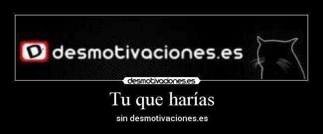 Tu que harías -