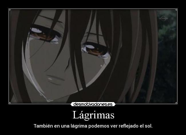 Lágrimas - También en una lágrima podemos ver reflejado el sol.