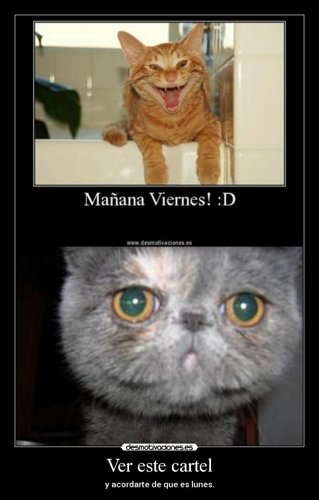 Ver este cartel - y acordarte de que es lunes.