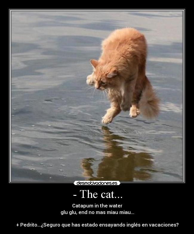 - The cat... - 