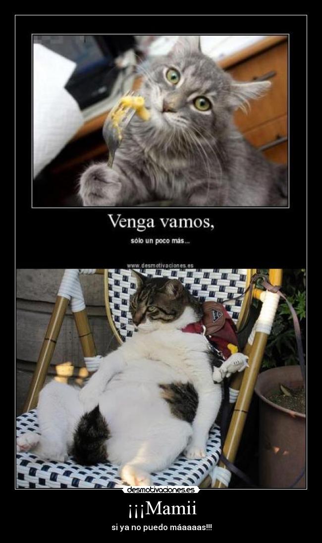 ¡¡¡Mamii - si ya no puedo máaaaas!!!