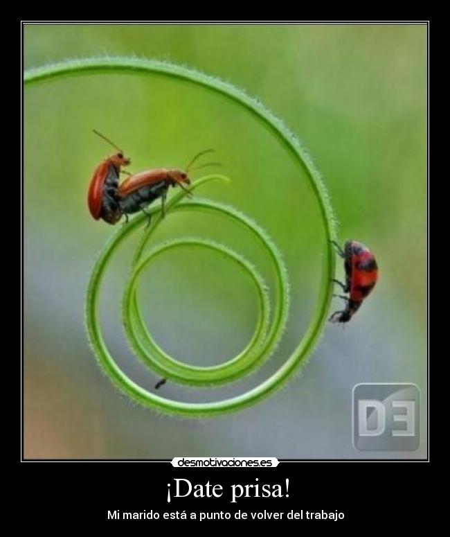 ¡Date prisa! - Mi marido está a punto de volver del trabajo