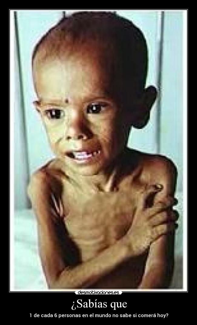 ¿Sabías que - 1 de cada 6 personas en el mundo no sabe si comerá hoy?