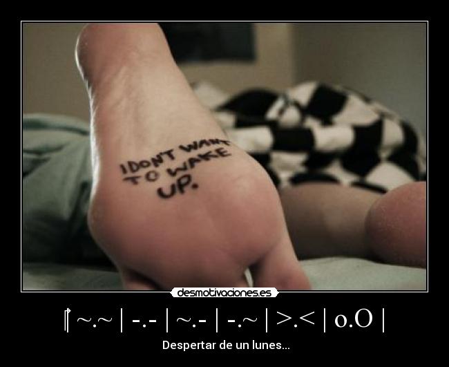 | ~.~ | -.- | ~.- | -.~ | >.< | o.O | - Despertar de un lunes...