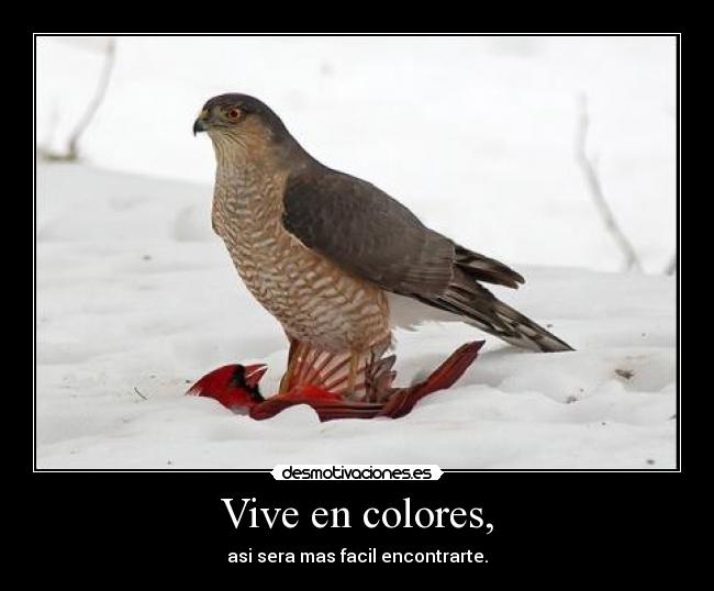 Vive en colores, - asi sera mas facil encontrarte.