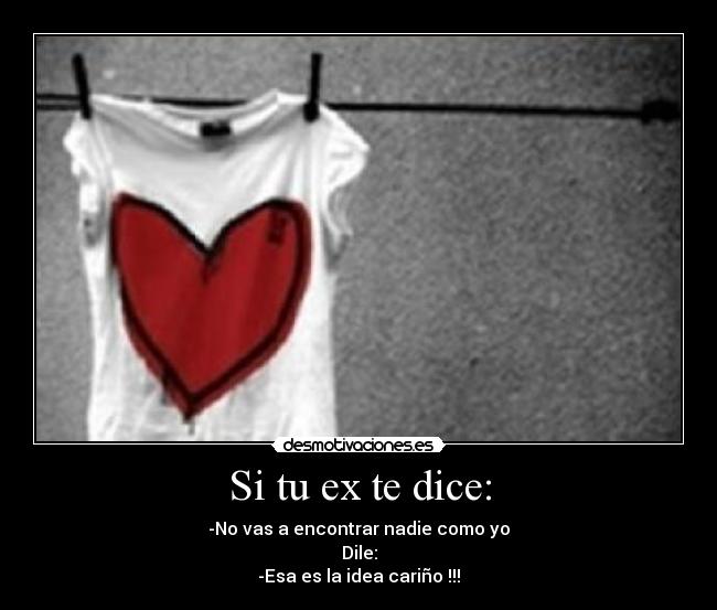 Si tu ex te dice: - -No vas a encontrar nadie como yo
Dile:
-Esa es la idea cariño !!!