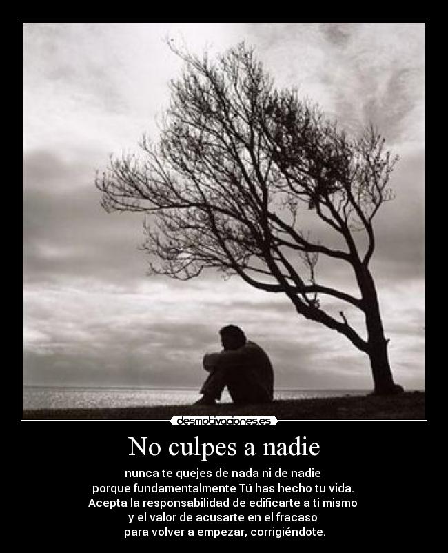 No culpes a nadie - nunca te quejes de nada ni de nadie 
porque fundamentalmente Tú has hecho tu vida. 
Acepta la responsabilidad de edificarte a ti mismo 
y el valor de acusarte en el fracaso 
para volver a empezar, corrigiéndote.