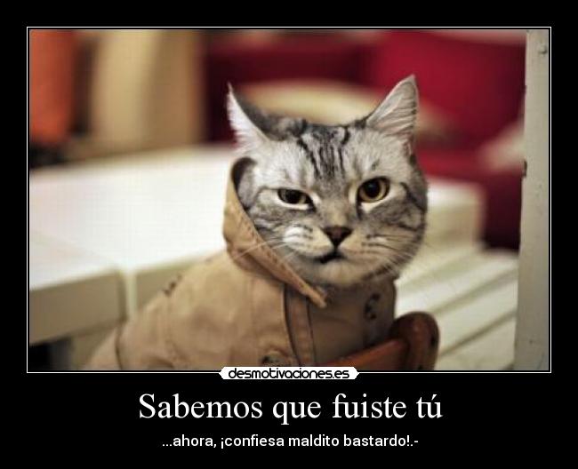 Sabemos que fuiste tú - 