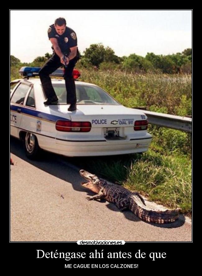 Deténgase ahí antes de que - ME CAGUE EN LOS CALZONES!