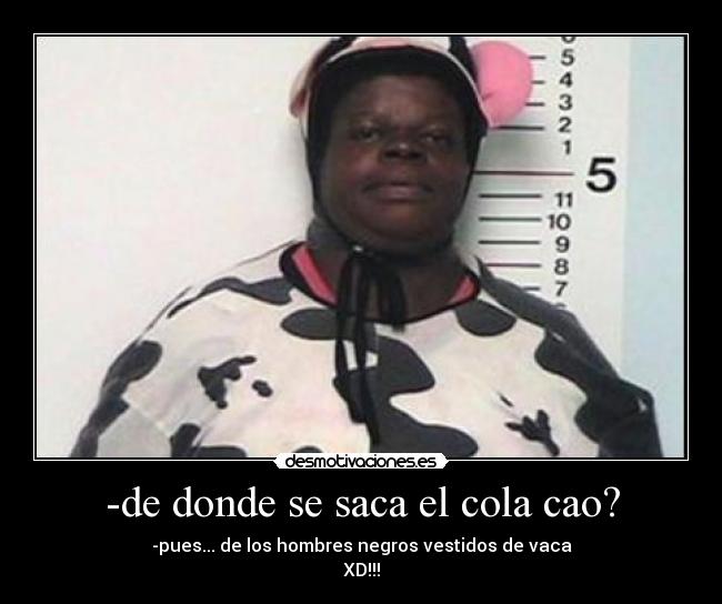 -de donde se saca el cola cao? -